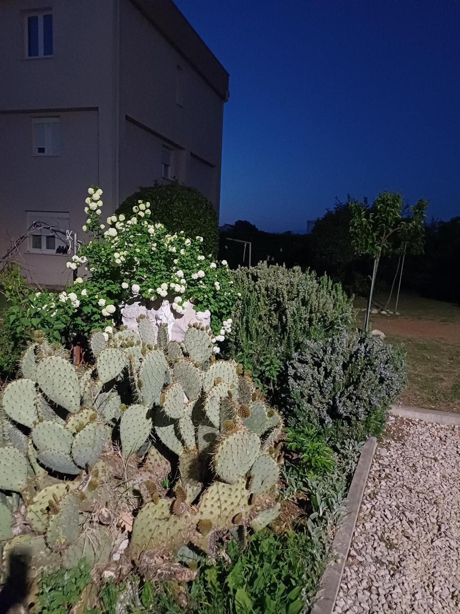 Villa Ana Međugorje Exterior foto
