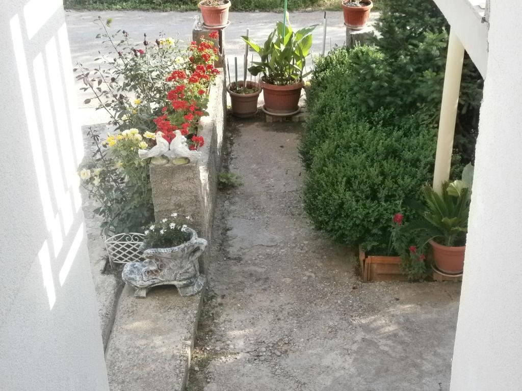 Villa Ana Međugorje Exterior foto